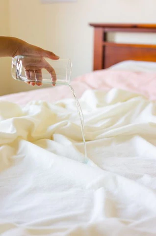 TERRY TOWELLING MATTRESS PROTECTOR