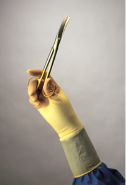 PROTEXIS LATEX CLASSIC P/FREE SURGICAL GLOVE - Main Image