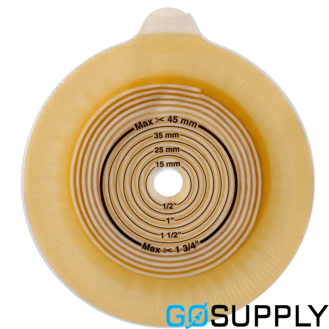 Alterna Shallow Convexity Base Plate - Main Image